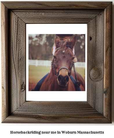 horseback riding near me in Woburn, Massachusetts